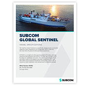 Global Sentinel